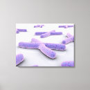 Recherche de rapport impressions sur toile Microscopique