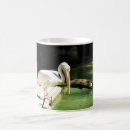 Recherche de histoire naturelle tasses Environnement