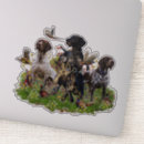 Recherche de faisan autocollants Chasse