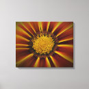 Recherche de gerber impressions sur toile Orange