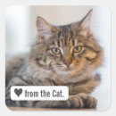 Recherche de chaton mignon autocollants Coeur