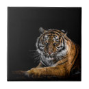 Recherche de animaux de jungle carreaux Tigre