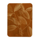 Recherche de botanique magnets Moderne