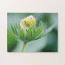 Zoek naar plantkundige puzzels Bloem