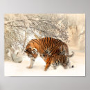 Recherche de rayure tigre art sibérien