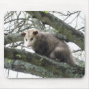 Recherche de opossum tapis souris Animal