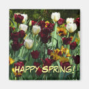 Recherche de fleurs de tulipe magnets Jaune