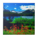 Zoek naar banff alberta tegels Canada