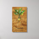 Recherche de herboriste art Herbes