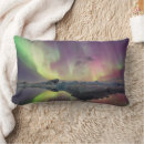 Zoek naar ijsberg kussens Winter