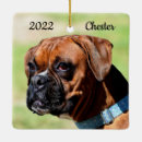 Zoek naar boxer dog ornamenten Honden