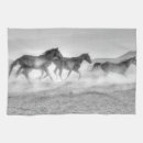 Recherche de mustang cuisine linges Chevaux