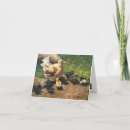 Recherche de poule poussins vœux cartes Mère