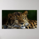 Zoek naar aarde dag kunst Wild
