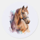Recherche de le cheval autocollants Équestre