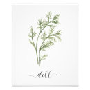 Recherche de basilic posters Aquarelle