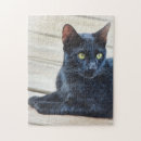 Recherche de black cat puzzles Mignon