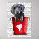 Recherche de teckels posters Chiot