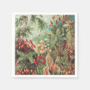 Recherche de illustration botanique vintage serviettes Ernst haeckel