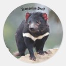 Recherche de tasmanie autocollants Nature