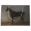 Recherche de geldings Équestre