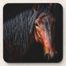 Recherche de portrait de cheval Portraits