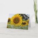 Zoek naar zonnebloemkaart kaarten Blauw