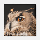 Recherche de autour du monde magnets Oiseaux
