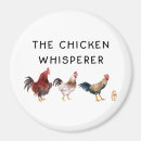 Recherche de poulets magnets Chic