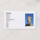 Recherche de daim cartes visite Bleu