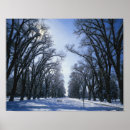 Recherche de banc parc posters Arbre