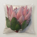 Zoek naar protea kussens Roze