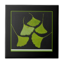 Recherche de ginkgo carreaux Nature