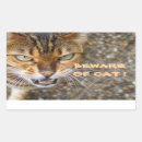 Recherche de yeux de tigre autocollants Beauté