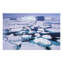 Recherche de antarctique art Pittoresque