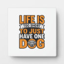 Recherche de chemise plaques Chien