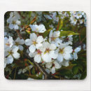 Recherche de arbres fruitiers tapis souris Fleur