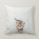 Recherche de mignon chat coussins Pour animaux