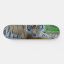 Recherche de gaze Nature