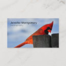 Recherche de cardinal cartes visite Nature