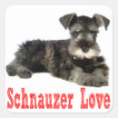 Recherche de chien de schnauzer autocollants Chiens