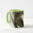 Recherche de yeux tasses Photographie de la nature