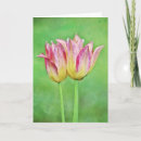Recherche de tulipe toutes vœux cartes Fleur