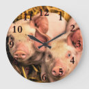 Recherche de cochon horloges Nature