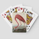 Recherche de flamand jeux de cartes Illustration