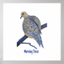 Recherche de colombe de deuil posters Faune
