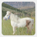 Recherche de cheval miniature autocollants Mignon