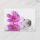 Recherche de marguerite rose de gerbera cartes visite Marguerites
