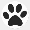 Recherche de cha Chien