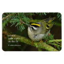 Recherche de causes magnets Oiseau